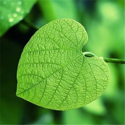 大话新水浒传手游(暂未上线)v1.0 安卓最新版
